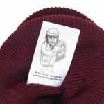 Шапка ННХ AW24 Эверест бордо