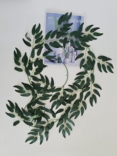 Лианы
