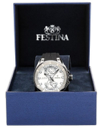 Мужские наручные часы Festina F16611/1