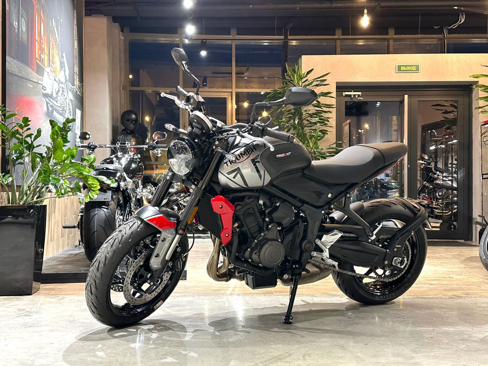 Triumph Trident 660 Gray
