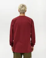 Лонгслив Anteater Long093 Handspray бордовый