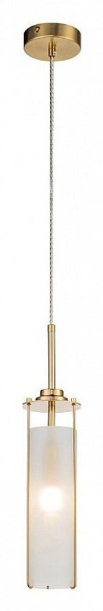 Подвесной светильник Indigo Torcia 11038/1P Brass