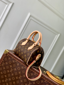 Louis Vuitton Speedy 20