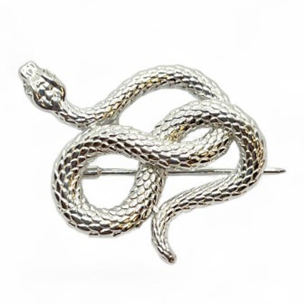 Брошь Змея