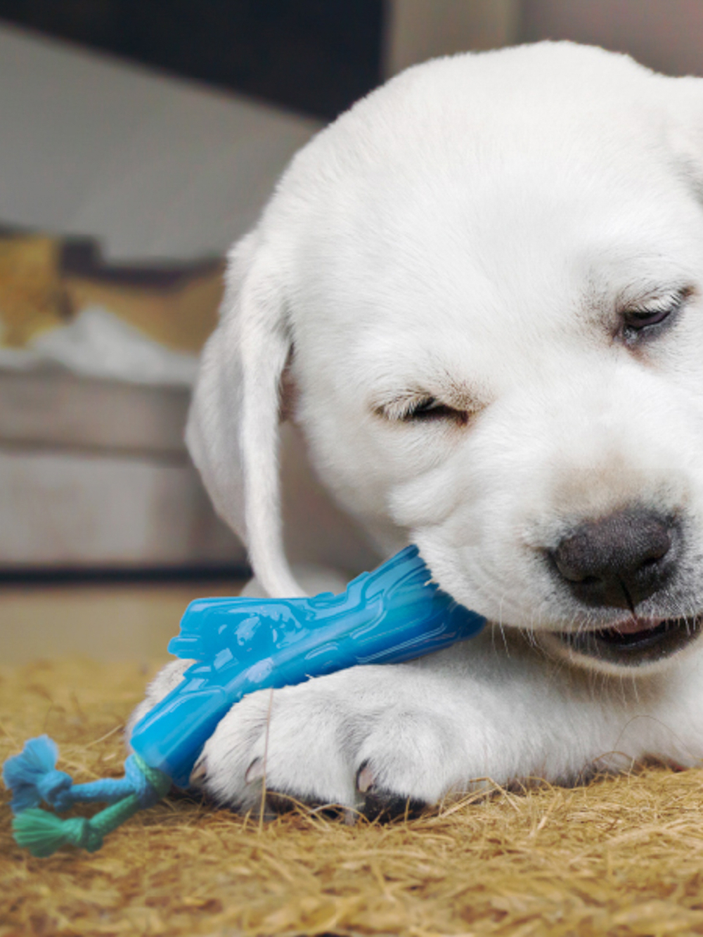 Petstages игрушка для собак Mini "ОРКА прутик" 12 см