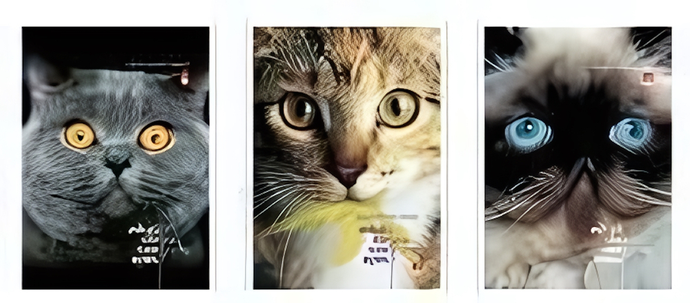 Блокнот А7 40л. клетка, на скрепке "Кошачий взгляд" 3 вида (Альт)