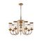 Подвесная люстра Favourite Energy 2926-7P