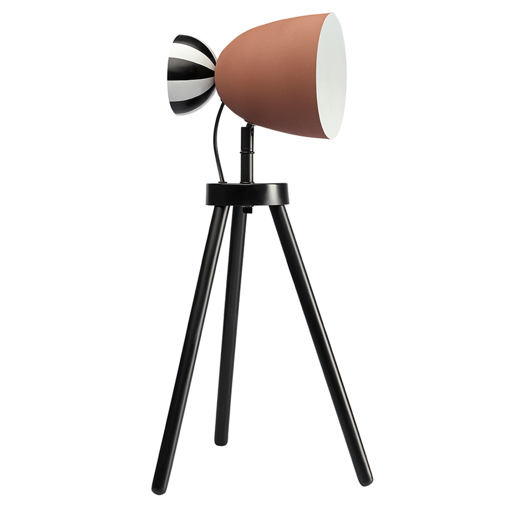 Светильник настольный anniken, D20х58 см, терракотовый