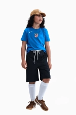 Футболка Nike Atlético Madrid 25/26 Total 90 Tee Junior - синий