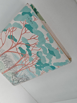 Три билета до Эдвенчер. Путь кенгуренка