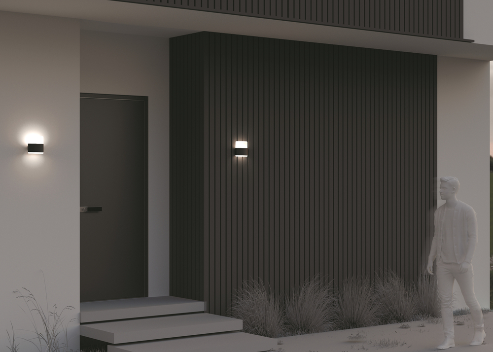 Уличный настенный светильник Outdoor O442WL-L12GF3K1