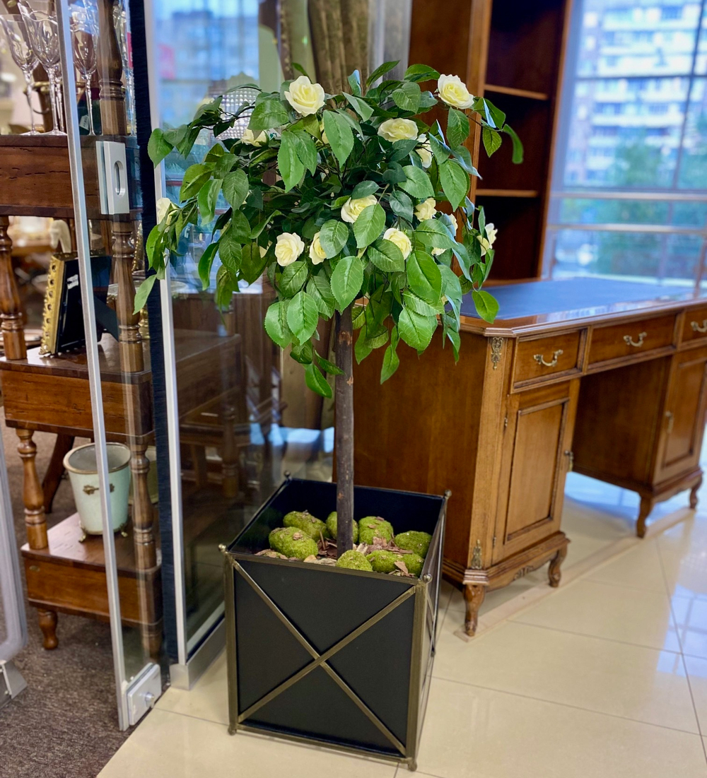 Камелия 110 см