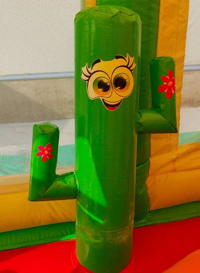 Коммерческий надувной батут «Попугаи и друзья 2» с крышей, 6x4x4 м