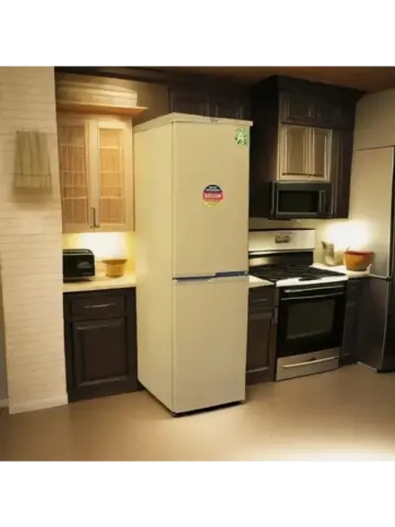 Холодильник R-295 Z