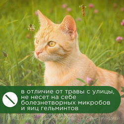 Травка, смесь семян злаковых трав, АВЗ для кошек, 30 г/пакет, 3 шт.