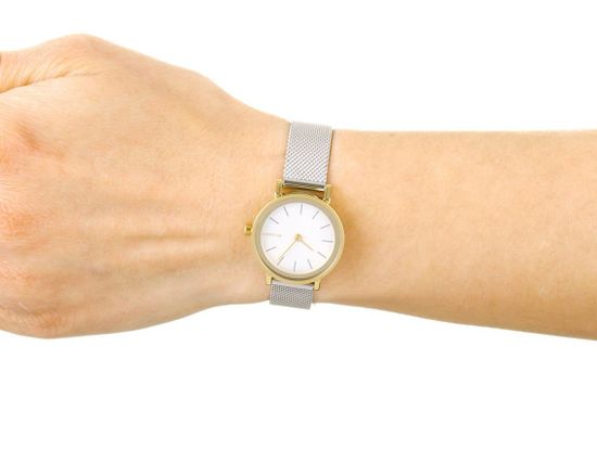 Женские часы Skagen SKW2445