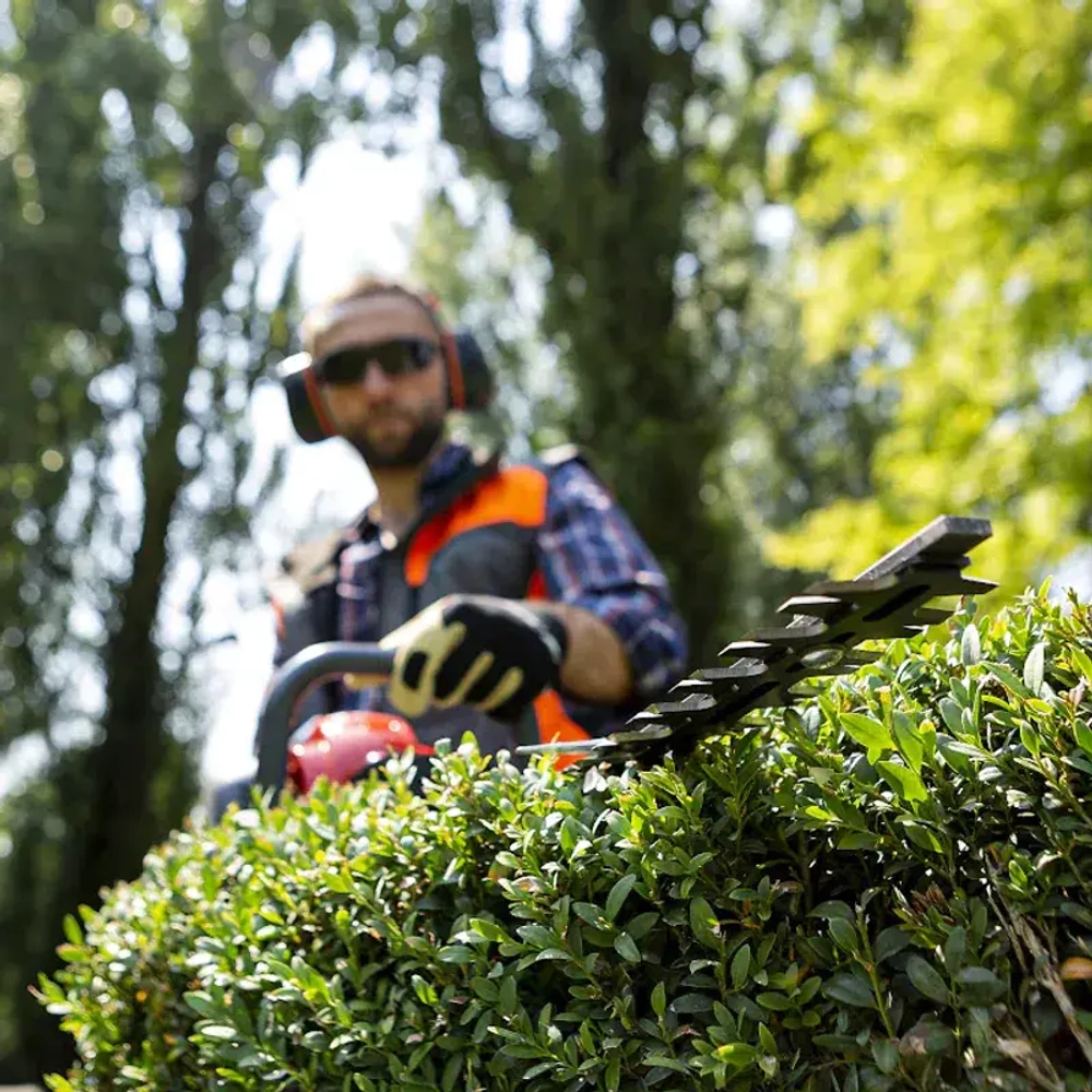 EFCO TG 2470 P кусторез бензиновый 58099021E2