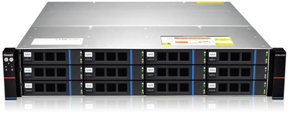 Дисковая полка 2U Gooxi ST201-S12REJ