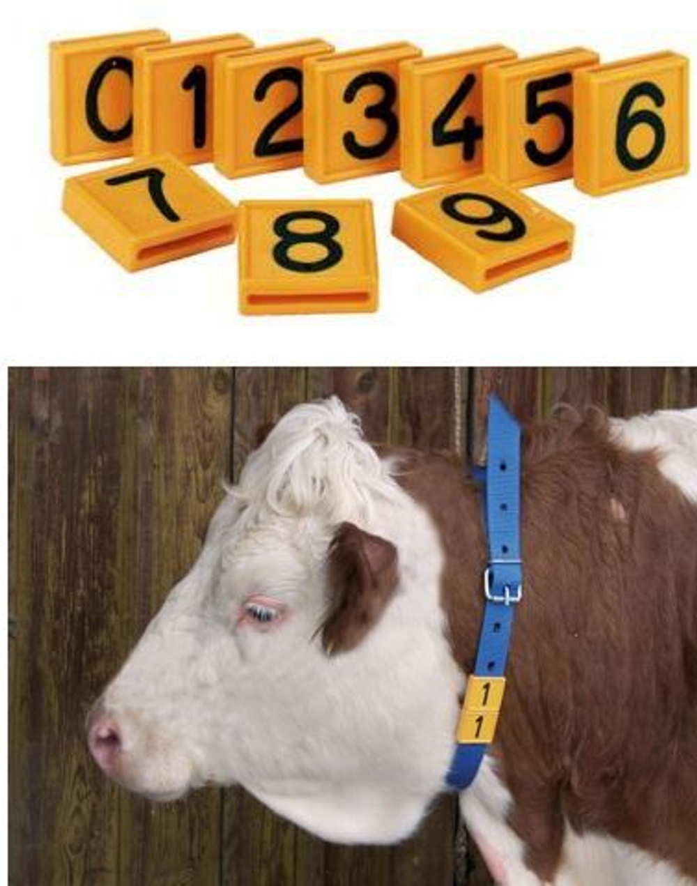 Номерной блок на шею для ремня цифра 7, 10 шт