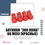 302 W Ботинки "Эко кожа" на меху