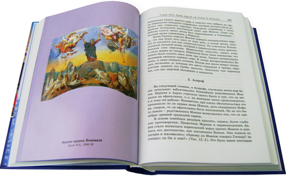 Священная Библейская история. Архиепископ Вениамин (Пушкарь)