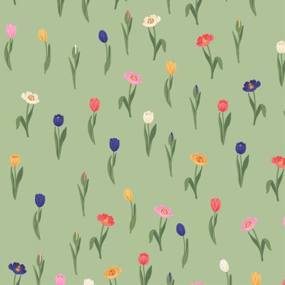 Разноцветные тюльпаны