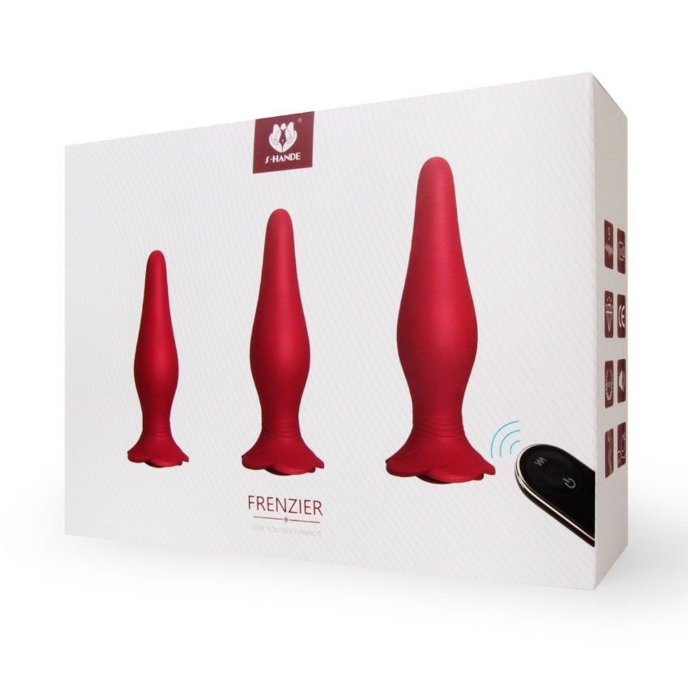 Набор Frenzier из 3 анальных пробок и вибропули с пультом ДУ
