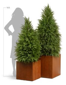 Кашпо TREEZ Effectory Corten Steel