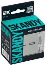 SKANDY Розетка USB A+C 3,1А SK-R14B бежевый IEK