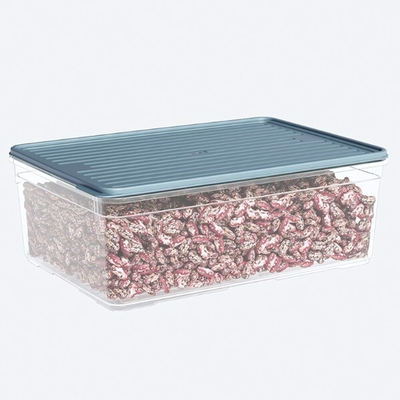 Лоток прозрачный с крышкой, цвет серый 4300 мл