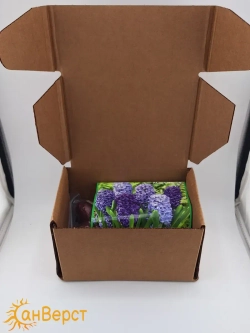 Гиацинты луковицы для посадки 10 шт. Микс цветов