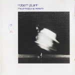 Robert Plant / The Principle Of Moments (CD)