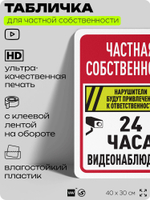 Табличка для частной территории "Частная собственность, видеонаблюдение 24 часа", на дом, для участка, организаций, предупреждающая, 40х30 см, Silver Plane x Айдентика Технолоджи