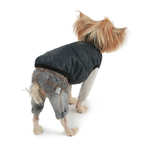 275 PA-OR Брюки "Джинсики" /джинсы для собак