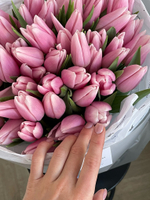 Букет из 51 нежно-розового тюльпана - нет в наличии