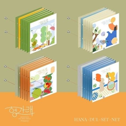Альбом Seventeen - Heng:garae 7th Mini Album 4 Version SET