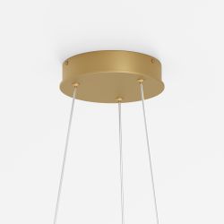 Люстра подвесная светодиодная Maytoni Rim MOD058PL-L22BSK