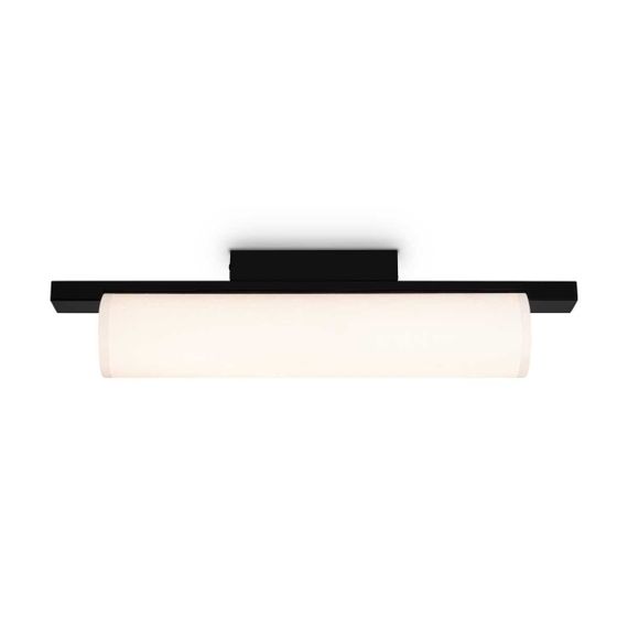 Потолочный светильник Freya Modern Even FR5625CL-L20B