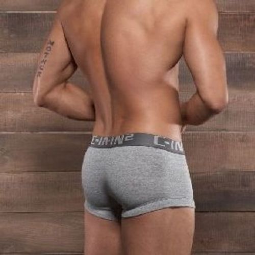Мужские трусы боксеры серые  C-IN2 Core Low No Show Profile Trunk Gris Boxer