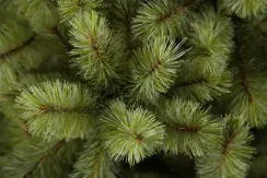 Ель Лесная красавица голубая 230 см., леска+пвх, Triumph Tree (73457)