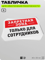 Табличка для обеспечения безопасности "Запретная зона, только для сотрудников", для офиса, по охране труда для предприятия, организаций, 40х30 см, Silver Plane x Айдентика Технолоджи