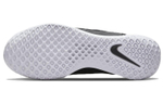 Кроссовки Nike Court Zoom Nxt Hc