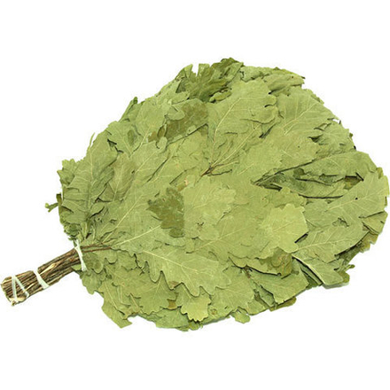 Веник дуб (К)