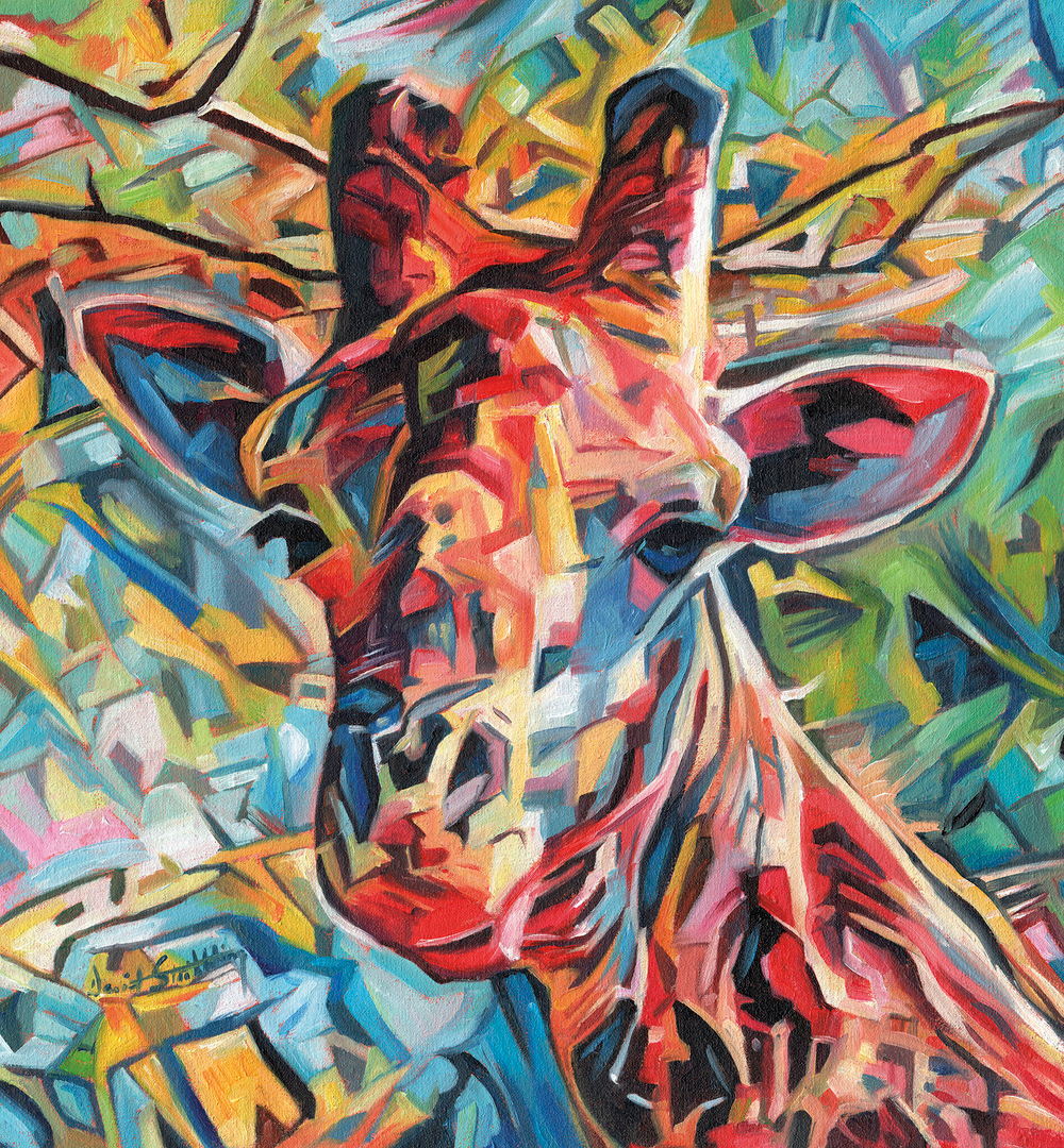 Коллекция Животные