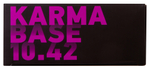 Бинокль Levenhuk Karma BASE 10x42