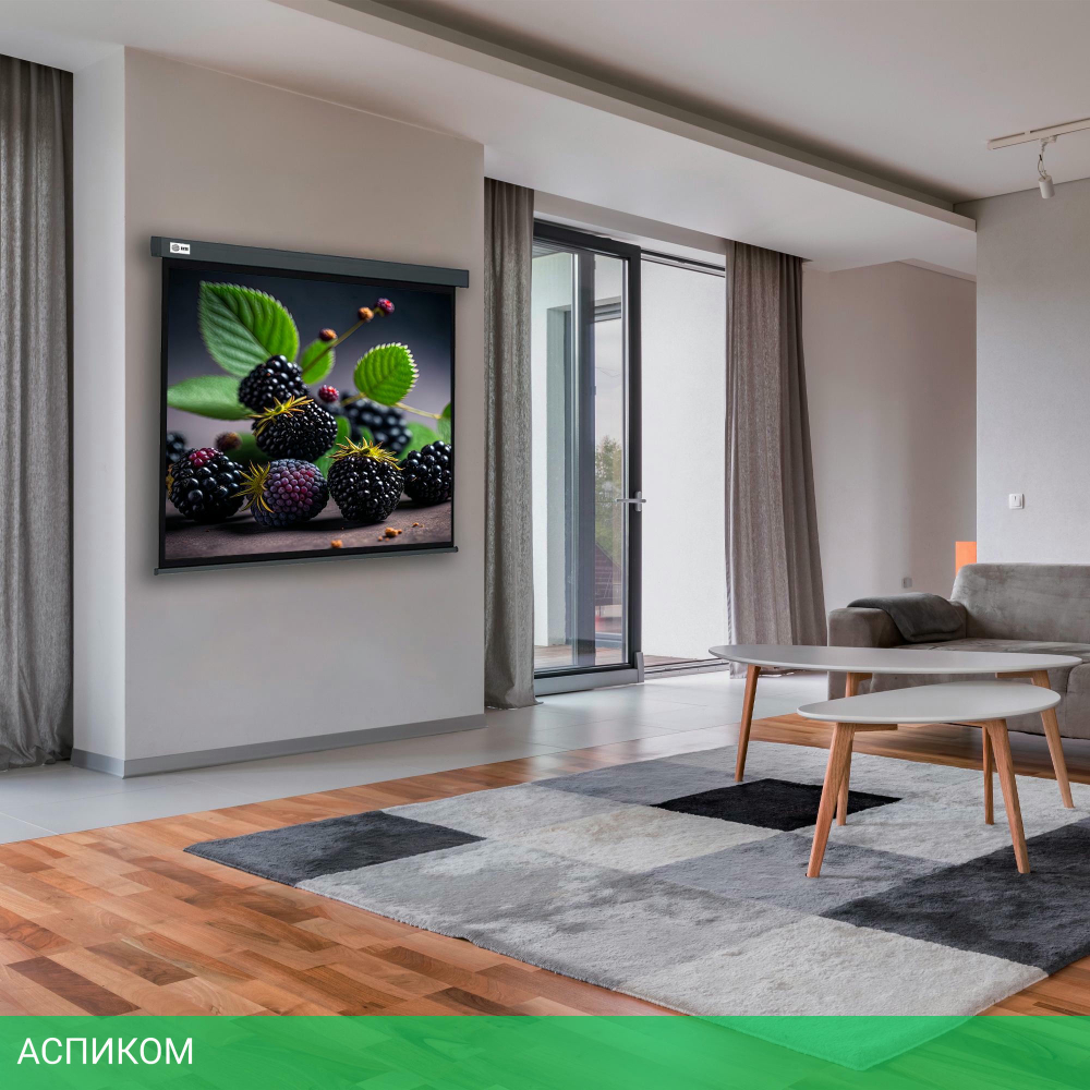 Проекционный экран Cactus CS-PSW-127X127-SG