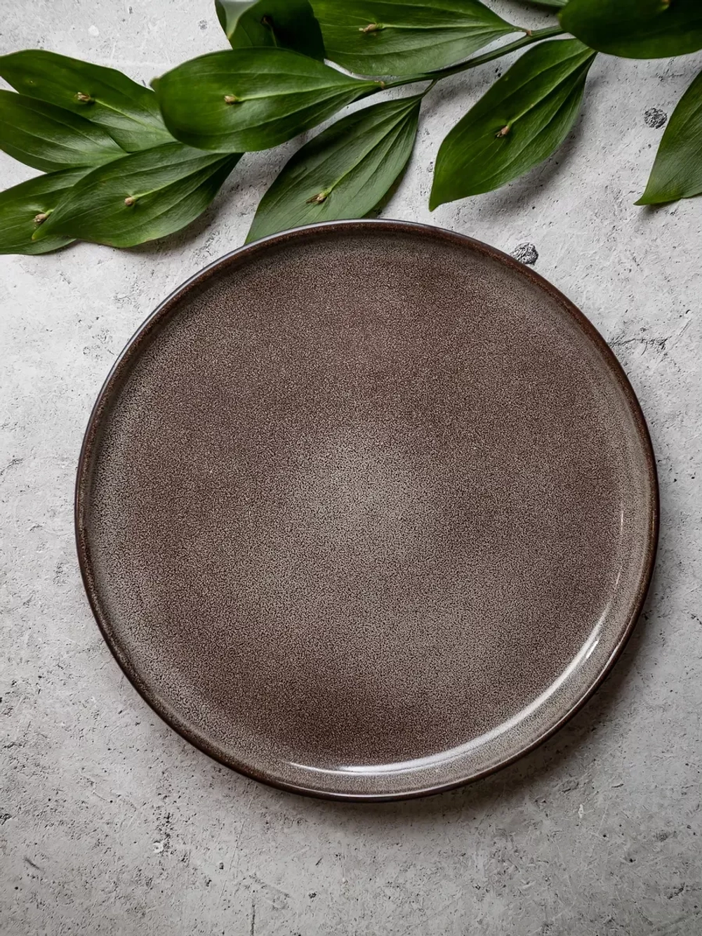 Тарелка с бортами, диаметр 25,3 см