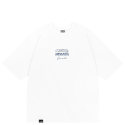 Футболка Haided DAMAGE RLXD HW TEE white
