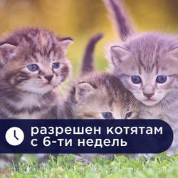 Таблетки от гельминтов МильбеПЕТ (GIGI) 10 мг для котят и молодых кошек до 2 кг со вкусом говядины, 2таб Мильбемицин/Празиквантел