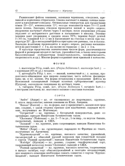 Деревья и кустарники СССР. Том 5 Миртовые, маслиновые | С.Я. Соколов